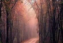 球商高、传球好！本赛季场均助攻最多的6位老将，库里场均6+垫底.