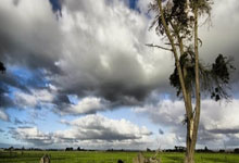 开云体育：记者：曼城就雨果-拉尔森开启谈判，法鹰要价6千万&枪军刺有意.