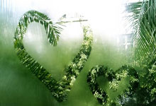 开云体育：第5金！宁忠岩破亚洲纪录夺得亚冬会速度滑冰男子1500米金牌央视体育.